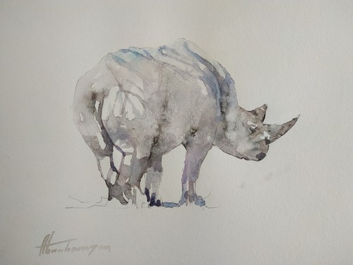 Rinoceronte animale opera - rinoceronte,, animale,