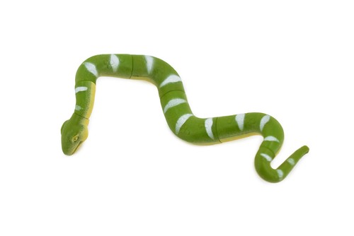 Serpente boa verde parti - serpente,,