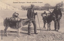 * SASSARI - Asinelli portatori d'acqua 1917 Testo interessante