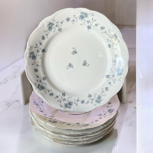 Pezzi johann haviland - 6,