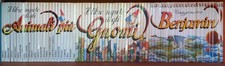 Il libro segreto degli gnomi -