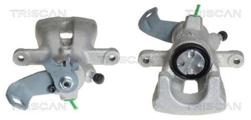 Pinza freno triscan 8170 - freno,