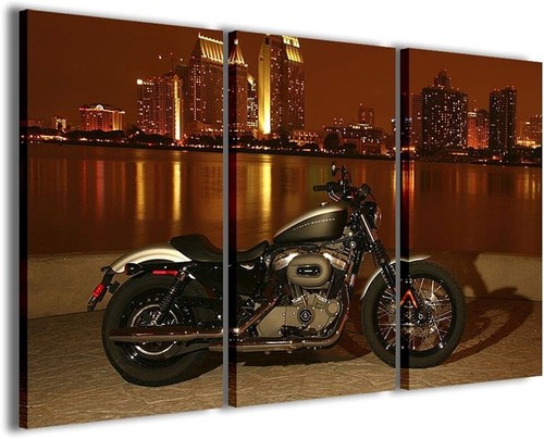 Stampe tela quadro harley - stampe, su