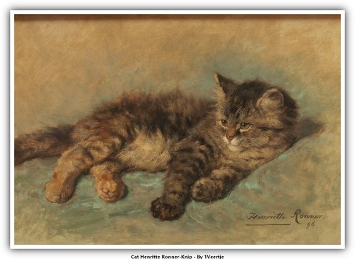 Cat henritte ronner - henritte, ronner-knip