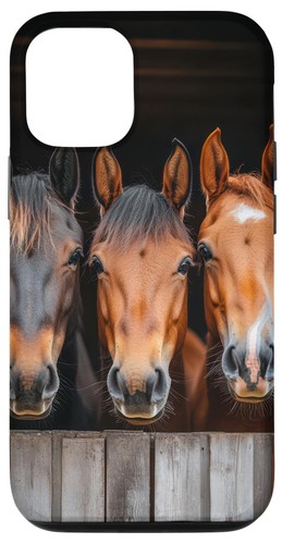 Stall box ritratto - stall, cavalli