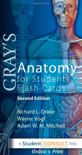 Gray anatomy for - gray's,