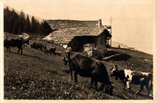 Aosta Charvensod scena