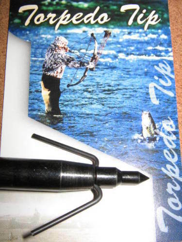 Teste larghe pesce per - 3,
