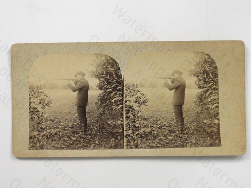 Man shooting rifle gun - rifle, hunter