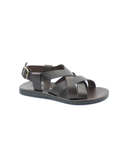 Zeus 1265 moro - zeus, marrone