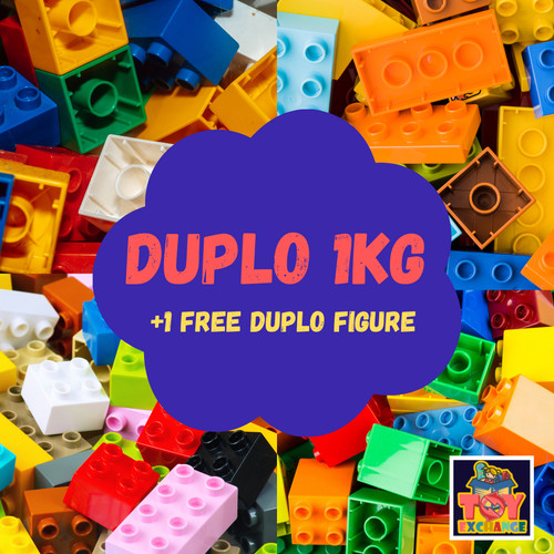 Lego duplo bundle lotto - lego,