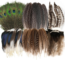 48 Pezzi Piume Decorative Naturali, 6 Stili Piume Di Fagiano Piume Di Pavone Piu