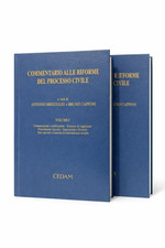 Commentario alle riforme del