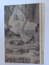 Cartolina Articolo Blocco Import Carne Gran Bretagna Viaggiata