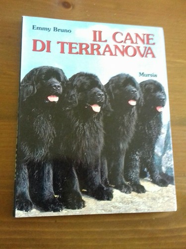 Emmy bruno cane di - emmy,