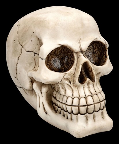 Halloween teschio totenkopf - halloween,