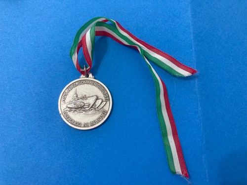 Medaglia ass nazionale - medaglia, ass.nazionale