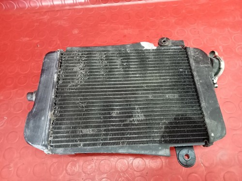 Radiatore acqua honda 300 - radiatore,