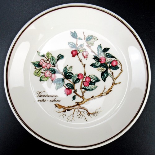 Piatto sottobicchiere - sottobicchiere, /