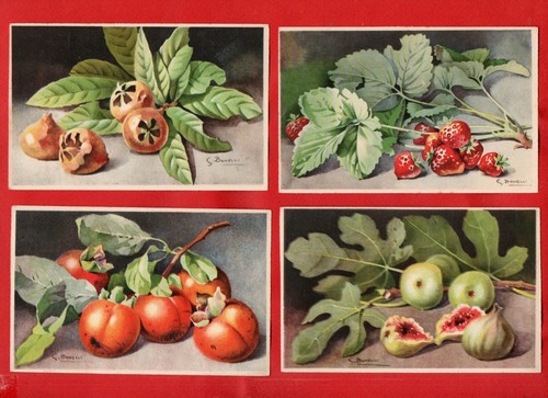 Frutta illustratore s - frutta,
