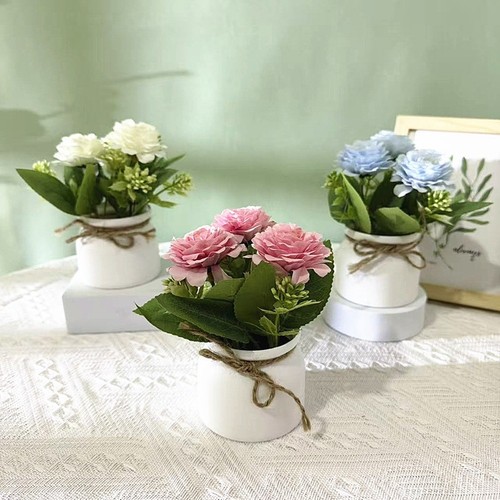 Pianta vaso crisantemo - vaso,