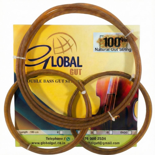 Globalgut corde intestinali - corde,