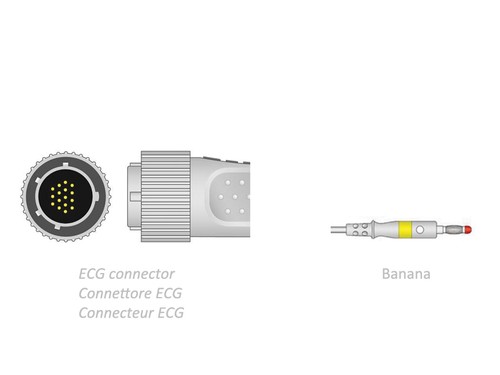 Cavo paziente ecg - ecg,