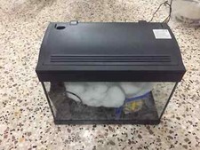 Vasca Acquario 23 litri in vetro con coperchio, mtb acquari Milo 43 43x24x36h