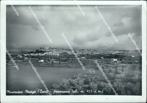 Af677 cartolina minervino - cartolina,