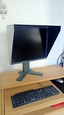 monitor EIZO 19 pollici