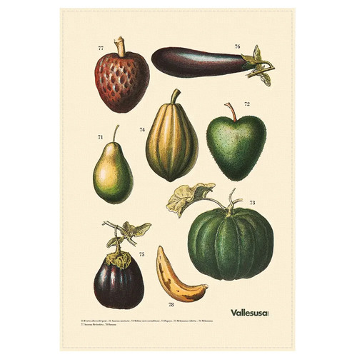 Canovaccio cucina vallesusa - da,