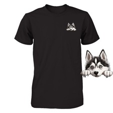 Funny Siberian Husky Dog