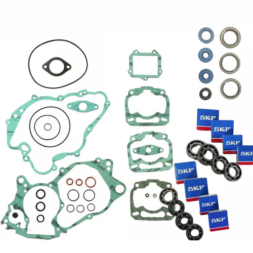 Kit skf revisione motore - kit,