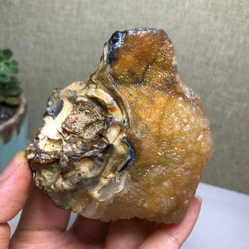 Bonsai naturale 204g suiseki - bonsai,