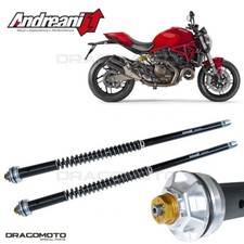 DUCATI Monster 821 2014-2020