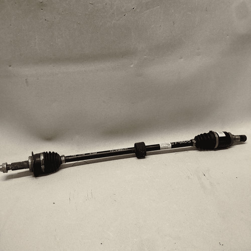 Semialbero ant compl dx - ant., compl.