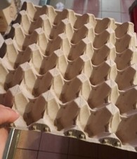 Vassoio Porta uova cartone