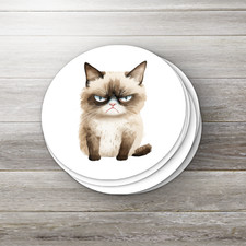 Custom Vinyl Stickers Die Cut