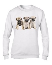 Carlino Cuccioli Cane Donna