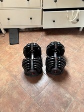  2 manubri palestra Bowflex
