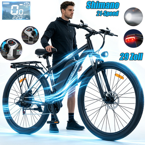 Bicicletta elettrica