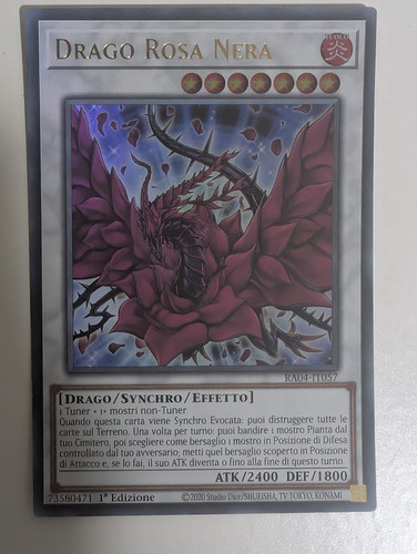 Drago rosa nera - yu-gi-oh!,