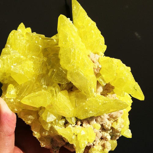 26lb rare natural yellow - rare,