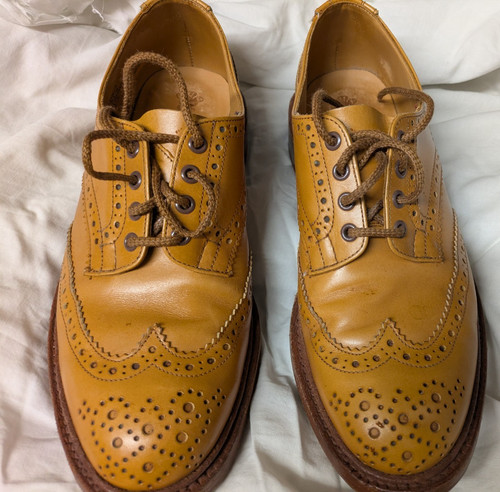Trickers bourton scarpa - bourton,