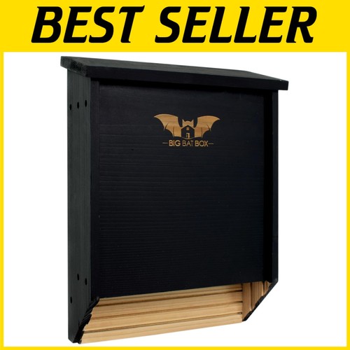 Bat box due - a,