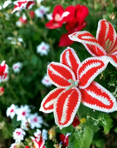 Fiori natalizi fatti