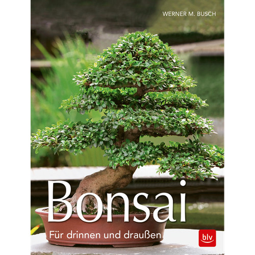 Bonsai per esterni interni - e,
