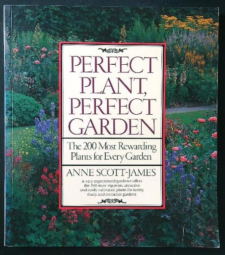 Perfect plant - perfect, garden