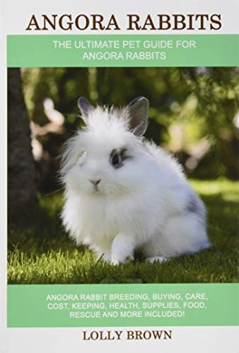 Angora rabbits - rabbits:,