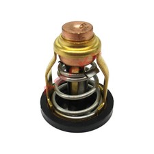 Termostato (60 C) 17670-90J00